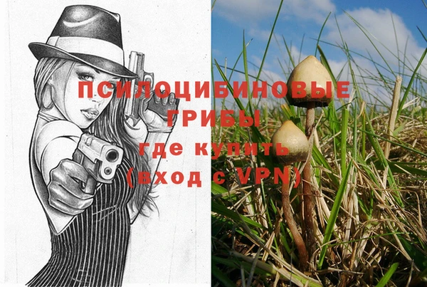 дживик Балахна