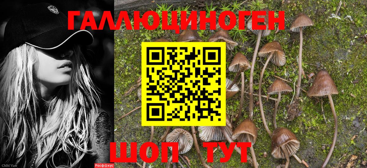 Галлюциногенные грибы ЛСД  Верхний Уфалей 